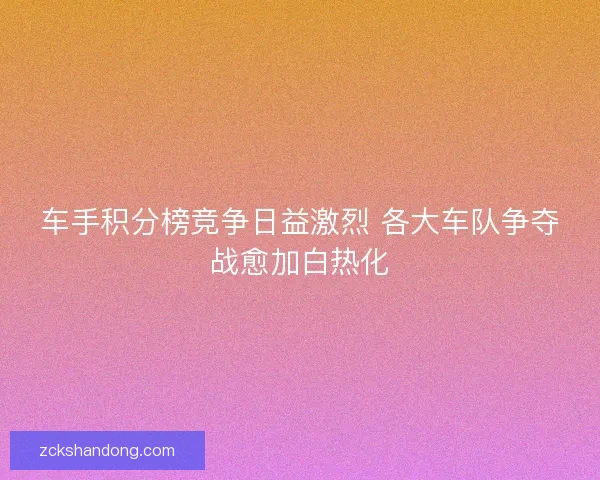 车手积分榜竞争日益激烈 各大车队争夺战愈加白热化 车手积分榜竞争日益激烈 各大车队争夺战愈加白热化