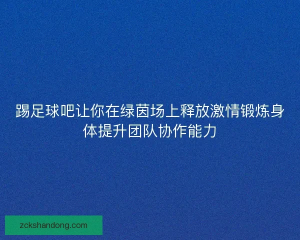 踢足球吧让你在绿茵场上释放激情锻炼身体提升团队协作能力